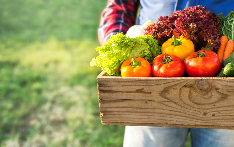 Alimentos eco, bio, orgánicoa y sostenibles